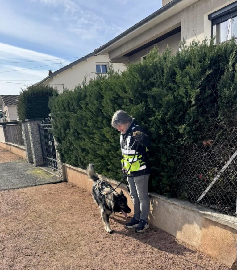 CHIEN DE RECHERCHE FORMATION