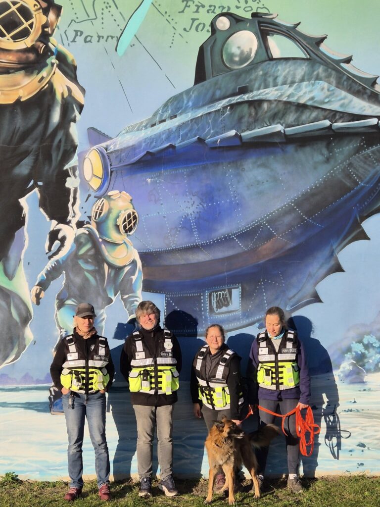 CHIEN DE RECHERCHE FORMATION MANTRAILING BAIE DE SOMME