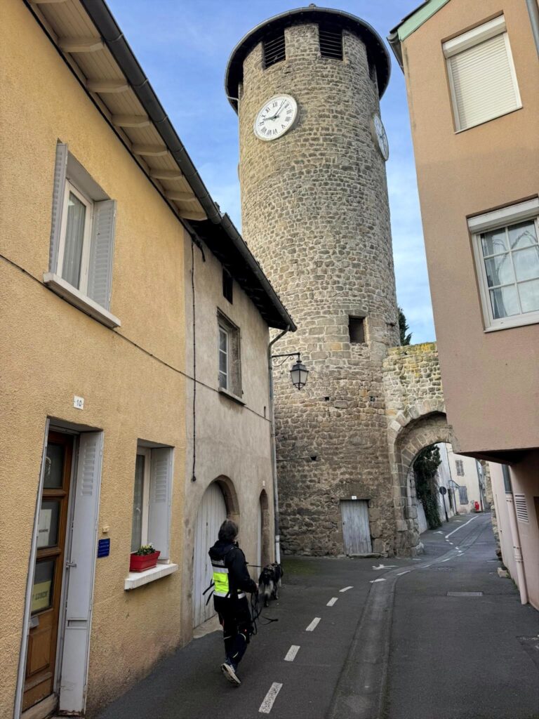 CHIEN DE RECHERCHE FORMATION ODEUR