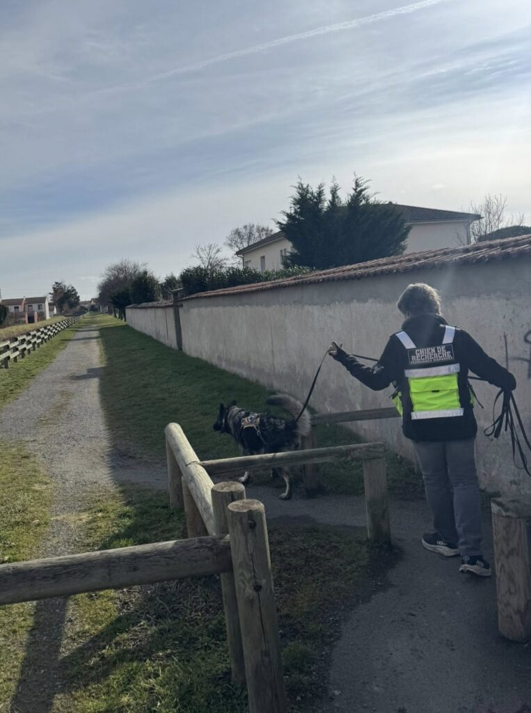 CHIEN DE RECHERCHE FORMATION ODEUR SPECIFIQUE