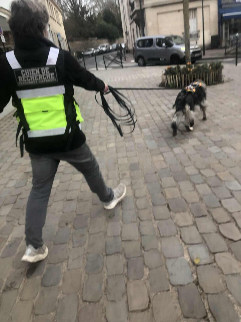 CHIEN DE RECHERCHE IDF INTERVENTION