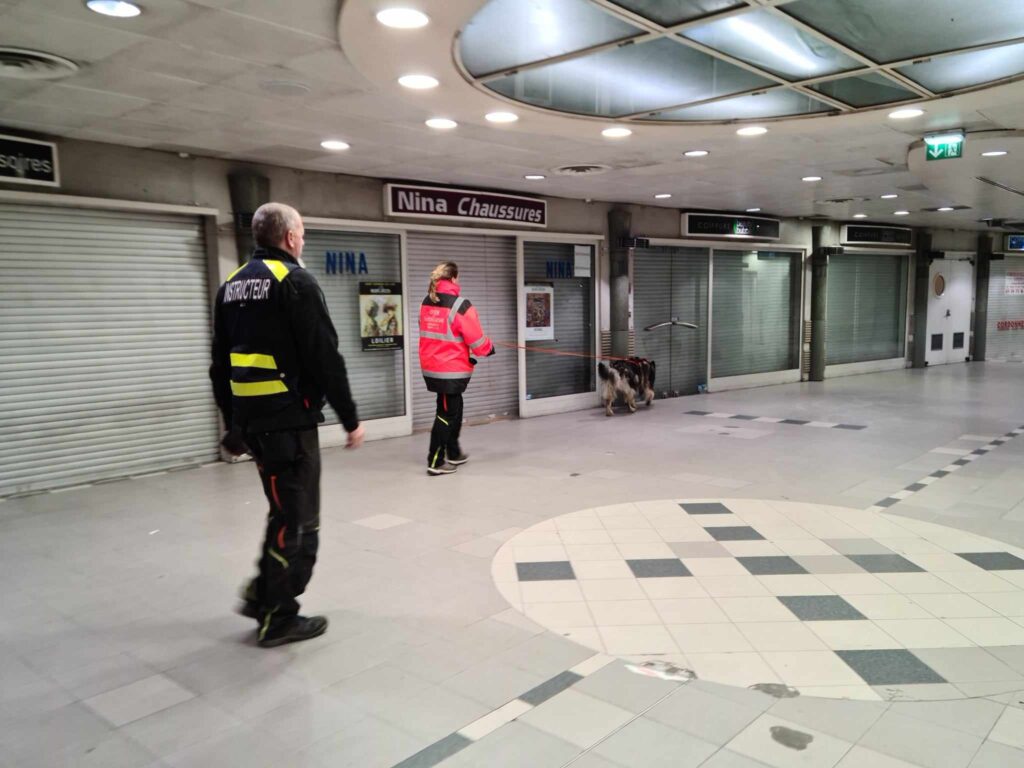 CHIEN DE RECHERCHE IDF MANTRAILING