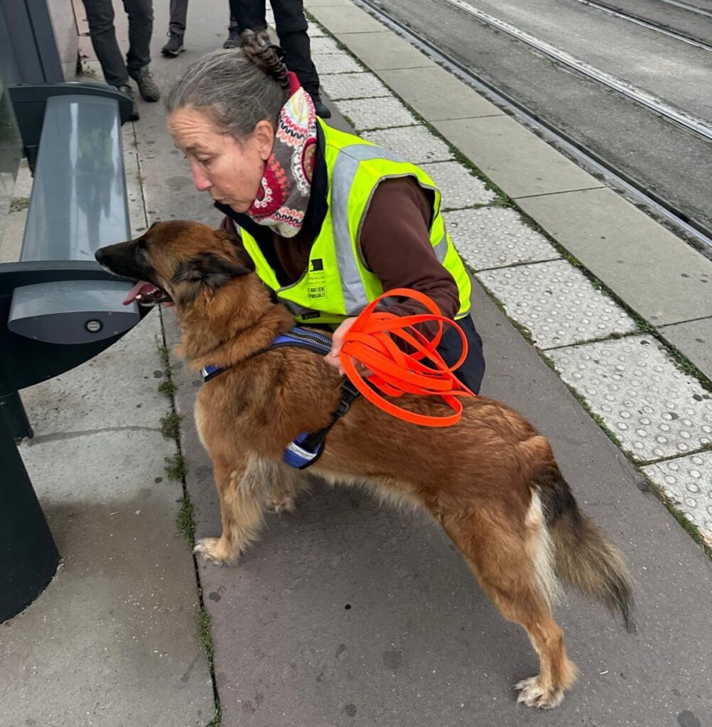 CHIEN DE RECHERCHE IDF REQUISITION BRDP