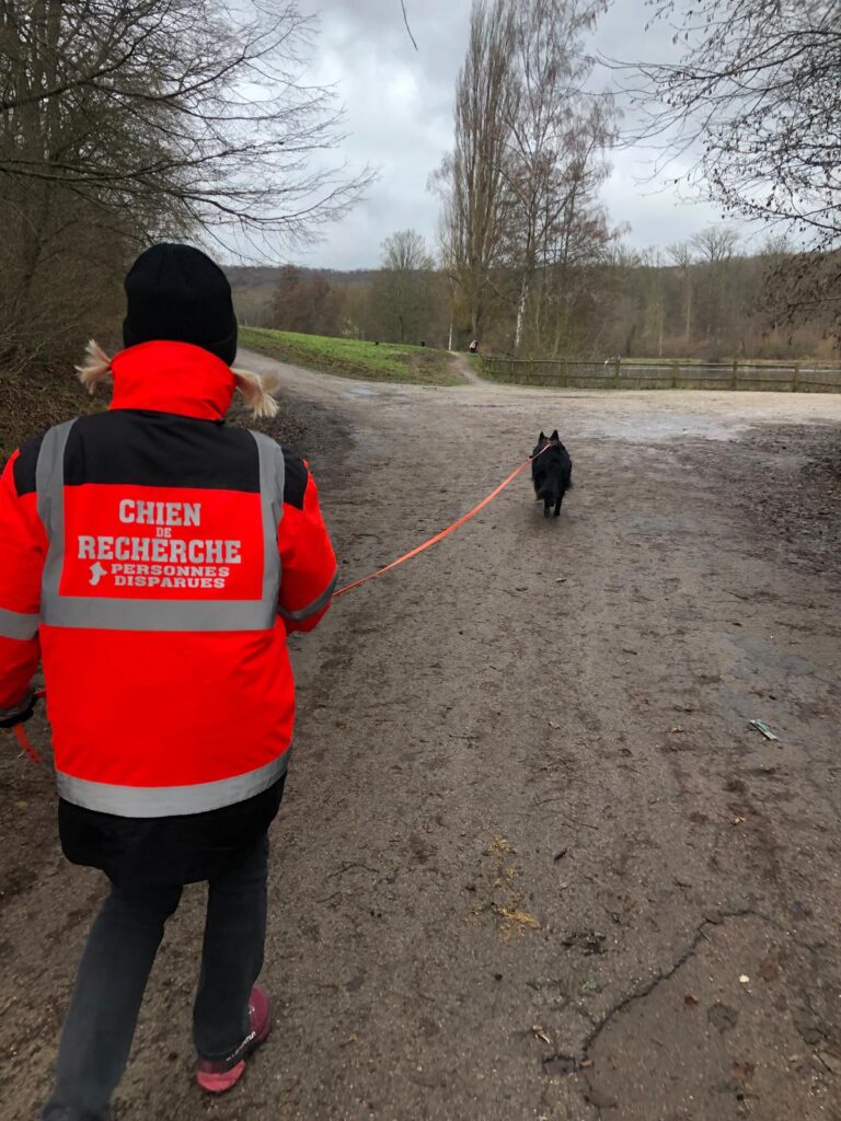 CHIEN DE RECHERCHE INTERVENTION POLICE NATIONALE