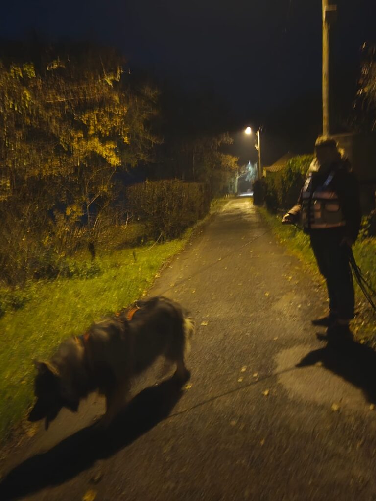 CHIEN DE RECHERCHE PERSONNE DISPARUE ARPD