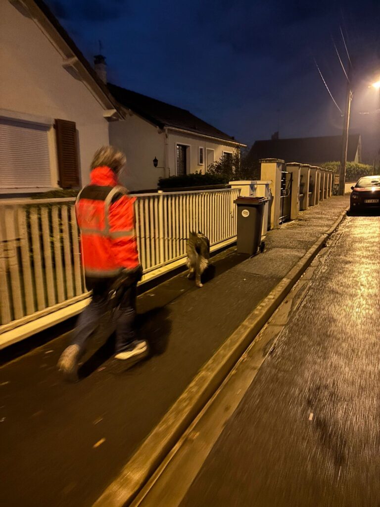 CHIEN DE RECHERCHE PERSONNE DISPARUE ARPD