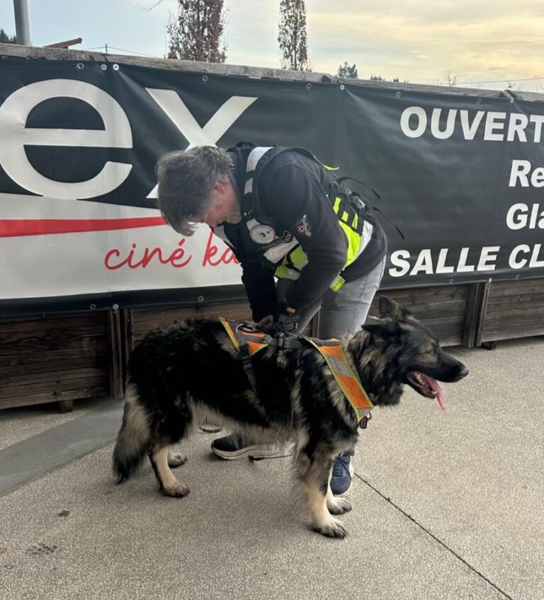 CHIEN DE RECHERCHE PERSONNE DISPARUE FORMATION