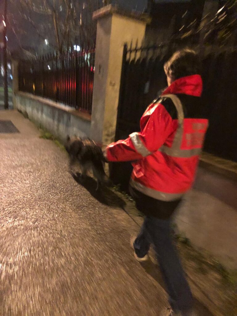 CHIEN DE RECHERCHE PERSONNE DISPARUE FORMATION ARPD