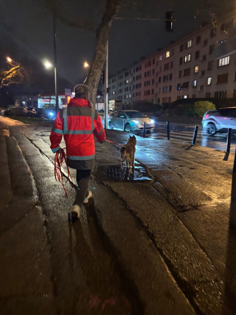CHIEN DE RECHERCHE PERSONNE DISPARUE FORMATION ARPD