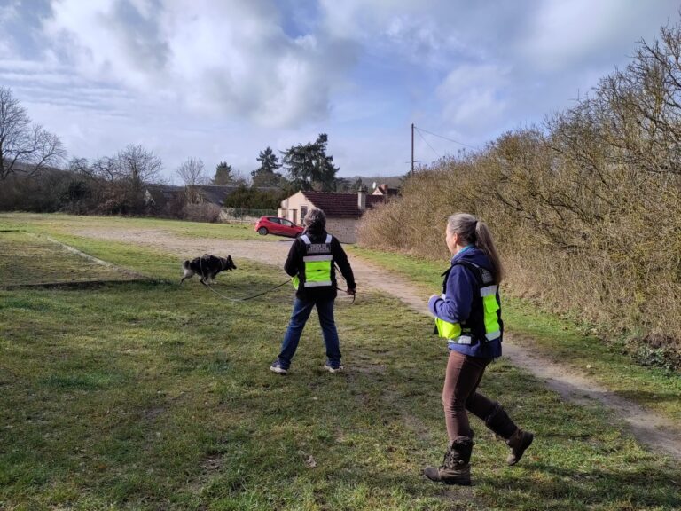 CHIEN DE RECHERCHE PERSONNE DISPARUE INTERVENTION