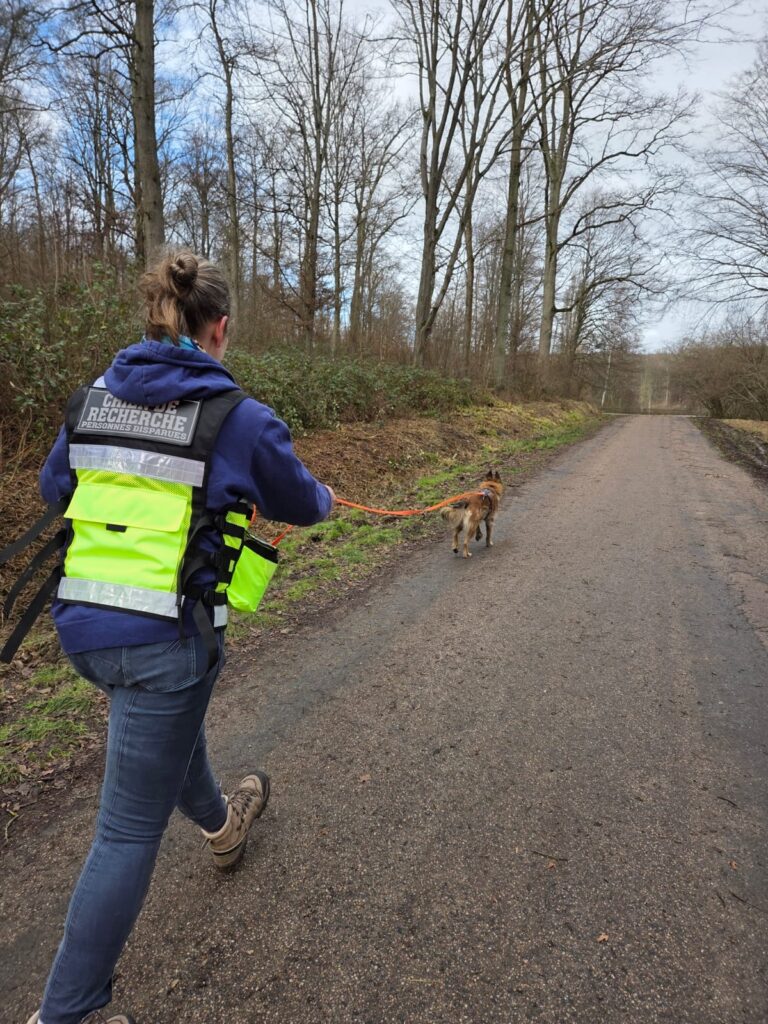 CHIEN DE RECHERCHE PERSONNE DISPARUE INTERVENTION POLICE NATIONALE