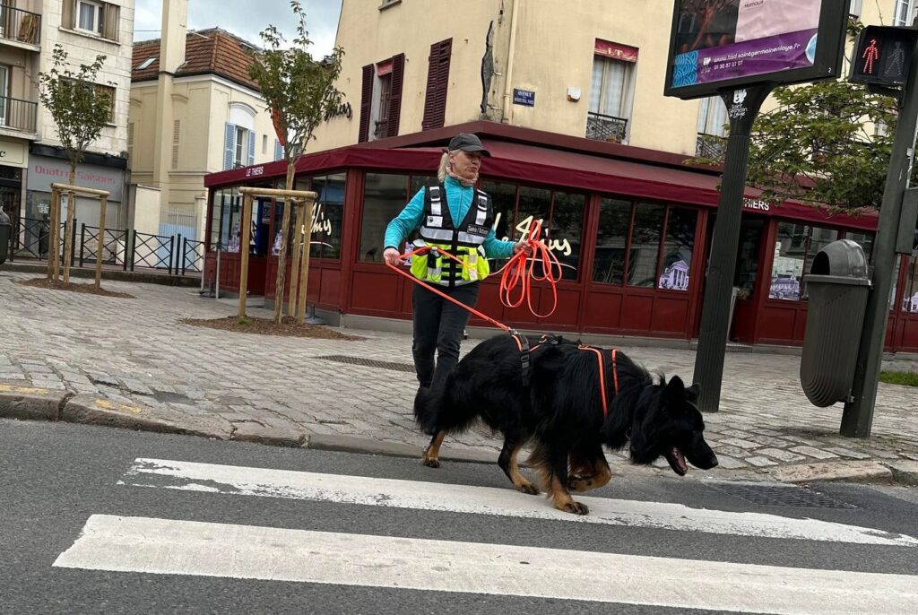 CHIEN DE RECHERCHE PRÉREQUIS