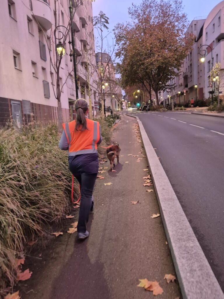 INTERVENTION CHIEN DE RECHERCHE IDF
