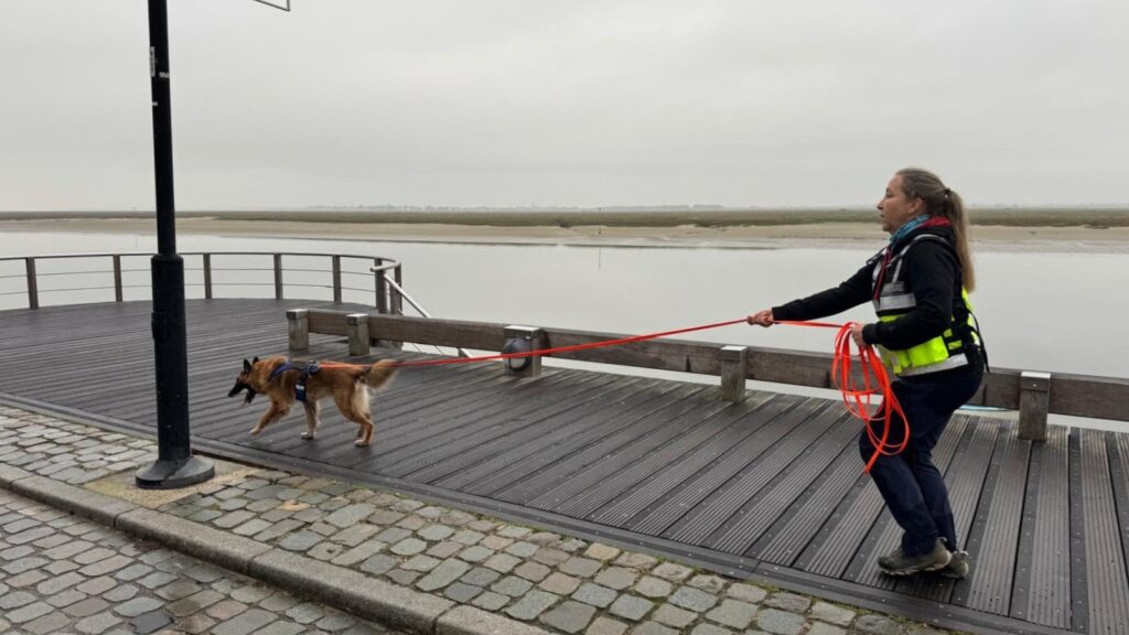 CHIEN DE RECHERCHE BINOME