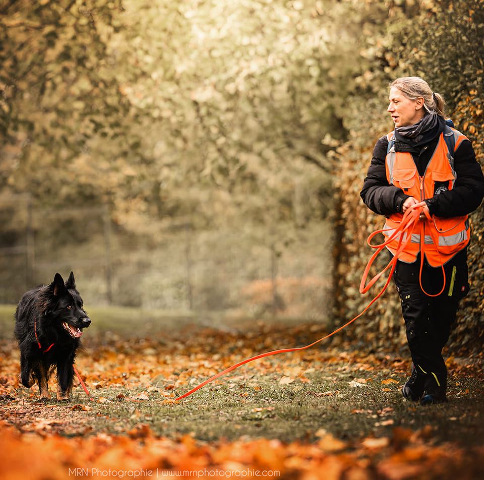 CHIEN DE RECHERCHE IDF