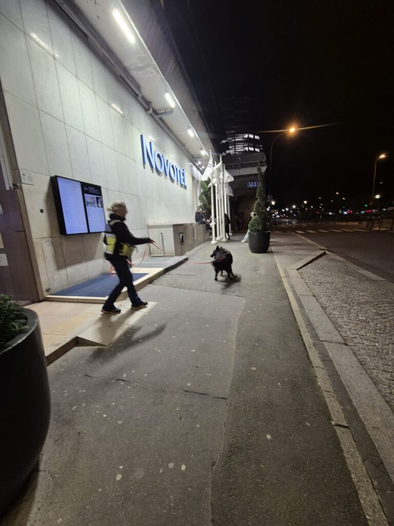 CHIEN DE RECHERCHE IDF