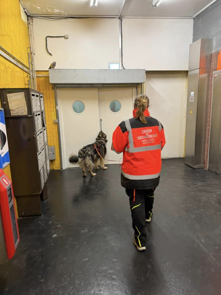 CHIEN DE RECHERCHE IDF FAMILLE