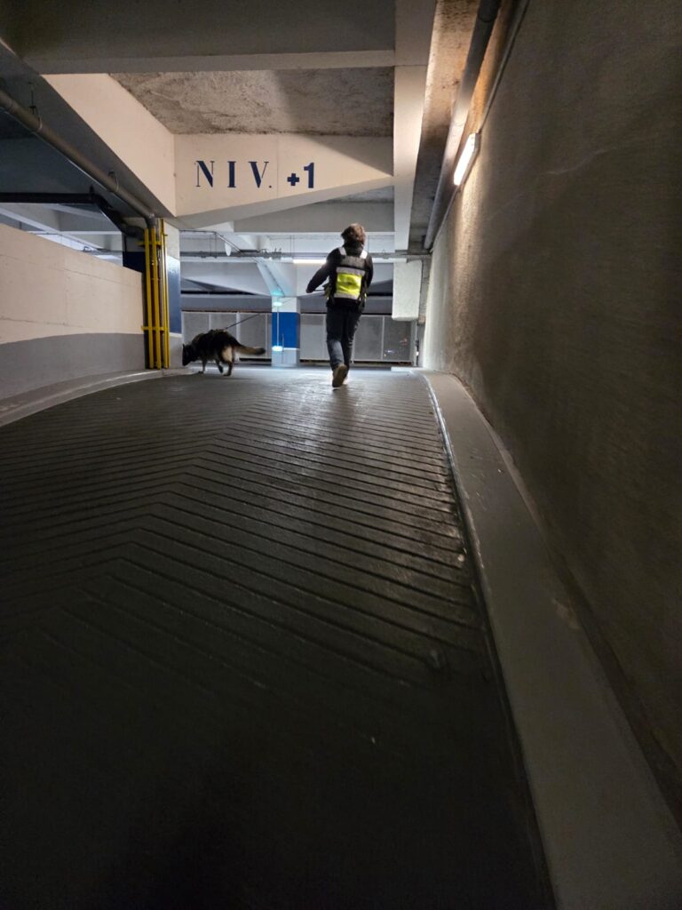 CHIEN DE RECHERCHE ILE-DE-FRANCE