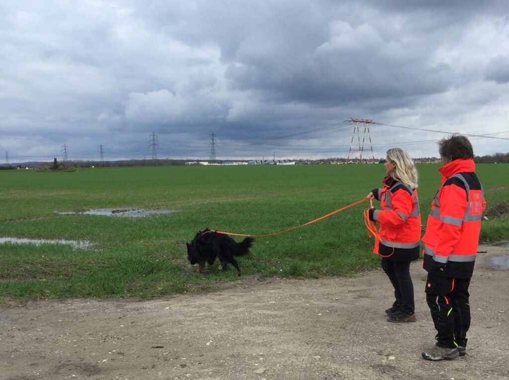 CHIEN DE RECHERCHE INTERVENTION