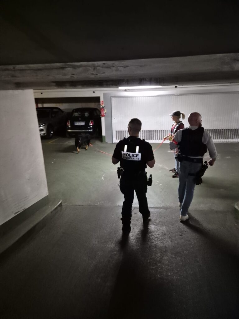 CHIEN DE RECHERCHE PERSONNE DISPARUE PJ