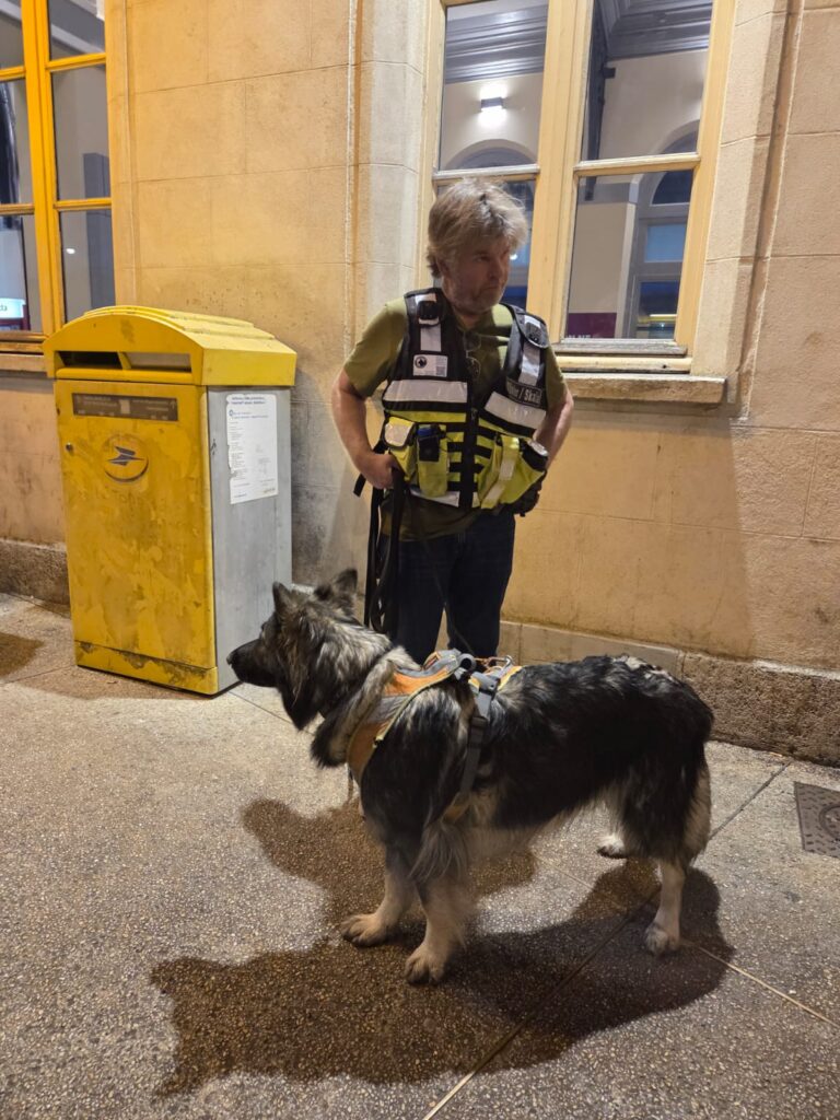 CHIEN DE RECHERCHE PERSONNE DISPARUE POLICE JUDICIAIRE INTERVENTION