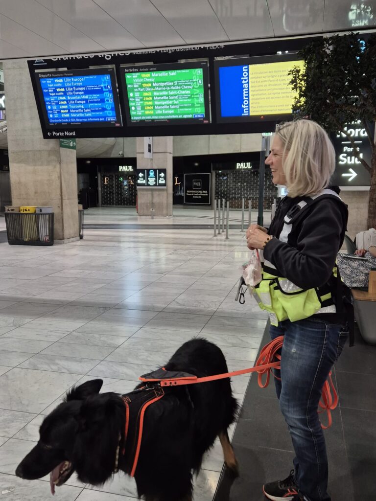 CHIEN DE RECHERCHE POLICE JUDICIAIRE ROISSY AEROPORT