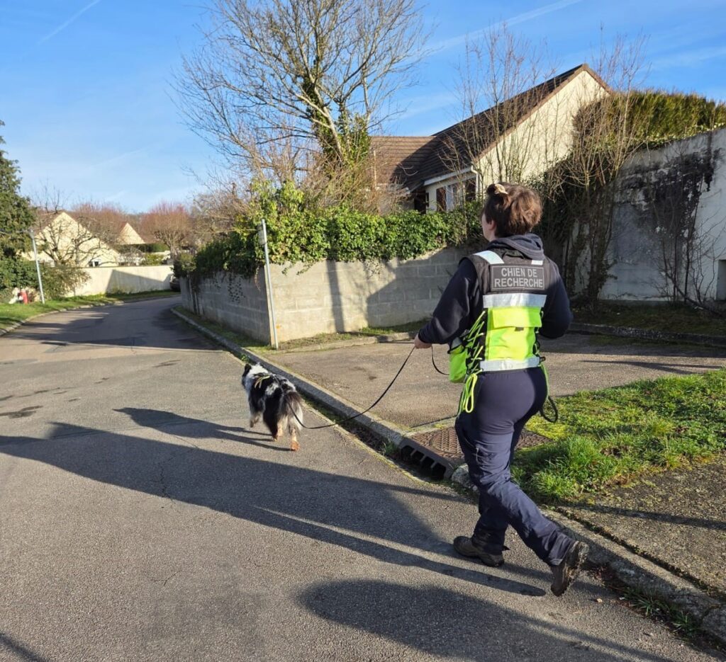 INTERVENTION CHIEN DE RECHERCHE IDF
