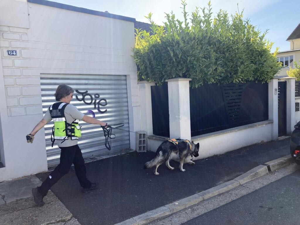 INTERVENTION CHIEN DE RECHERCHE BRDP