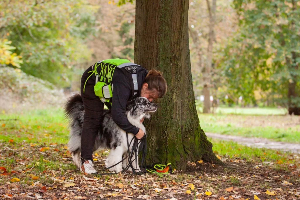 CHIEN DE RECHERCHE DE PERSONNES DISPARUES 2026