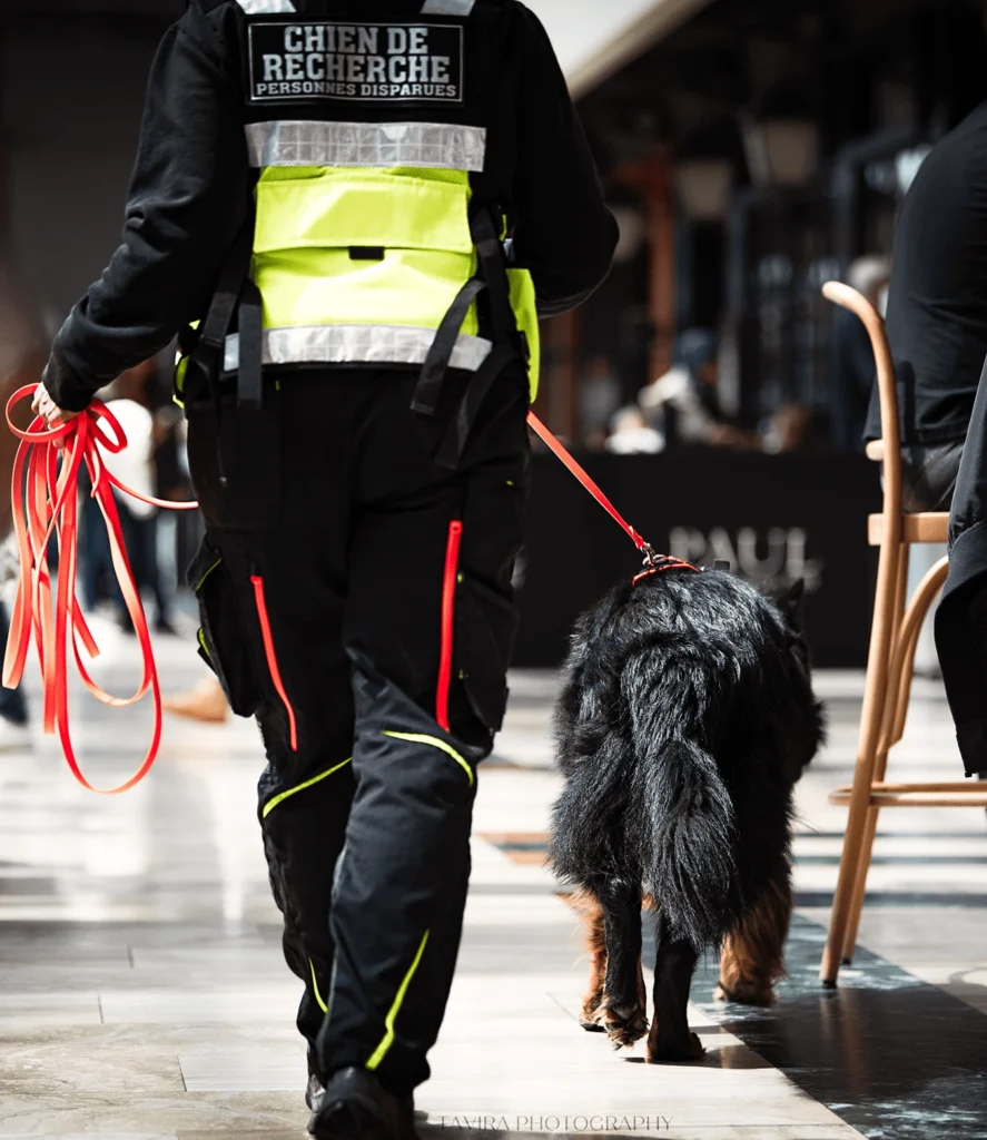 CHIEN DE RECHERCHE DE PERSONNES DISPARUES IDF
