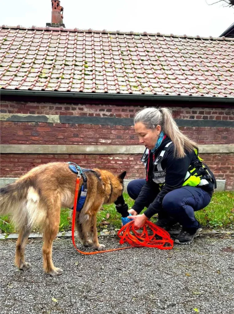 CHIEN DE RECHERCHE DE PERSONNES DISPARUES IDF BINOME