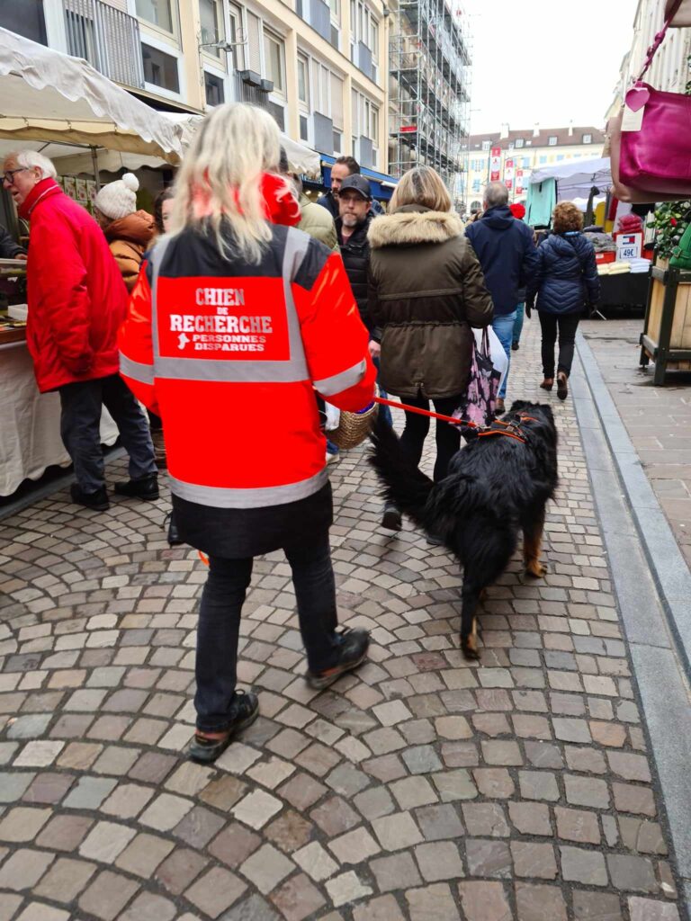 CHIEN DE RECHERCHE IDF INTERVENTION URBAIN