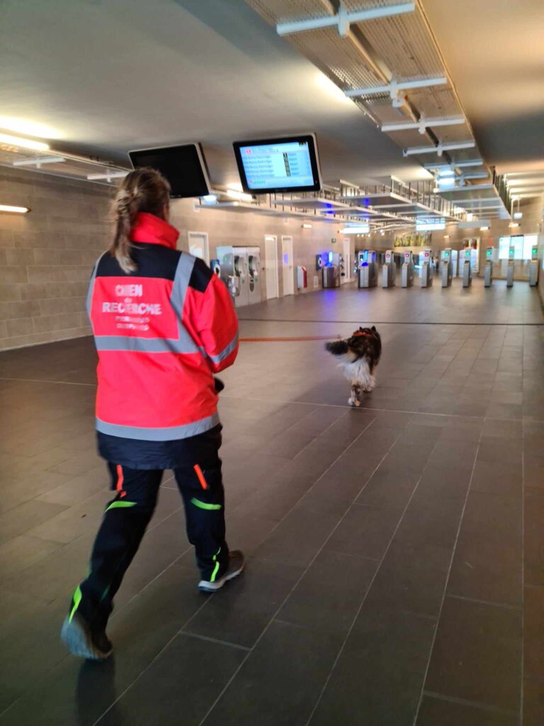 CHIEN DE RECHERCHE DE PERSONNE DISPARUE INTERVENTION DANS UN METRO