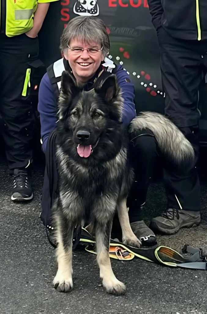 CHIEN DE RECHERCHE DE PERSONNES DISPARUES IDF INTERVENTION AVRIL 2026