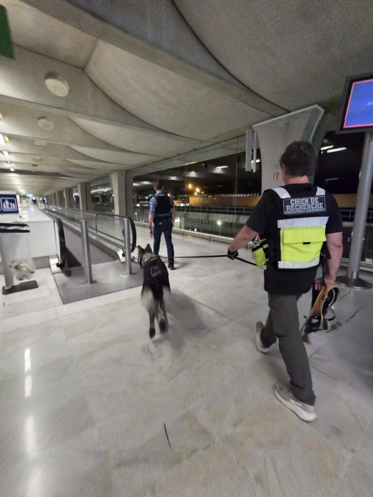 CHIENS DE RECHERCHE INTERVENTION DANS UN AEROPORT