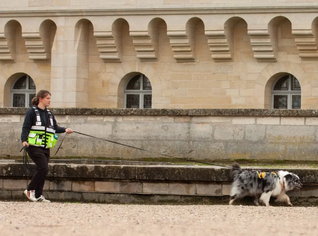CHIENS DE RECHERCHE IDF LÉGENDES URBAINES