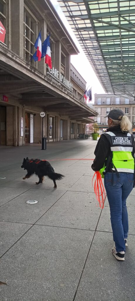 CHIEN DE RECHERCHE DE PERSONNE DISPARUE PISTE VÉLO