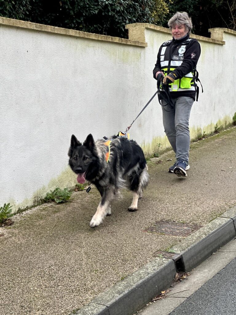 CHIENS DE RECHERCHE IDF CROISEMENT DE PISTES