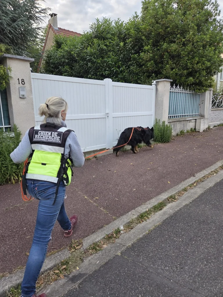 CHIENS DE RECHERCHE DE PERSONNES DISPARUES IDF