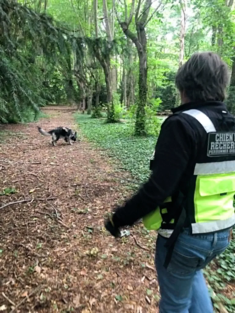 CHIENS DE RECHERCHE DE PERSONNES DISPARUES IDF OLIVIER SKALA