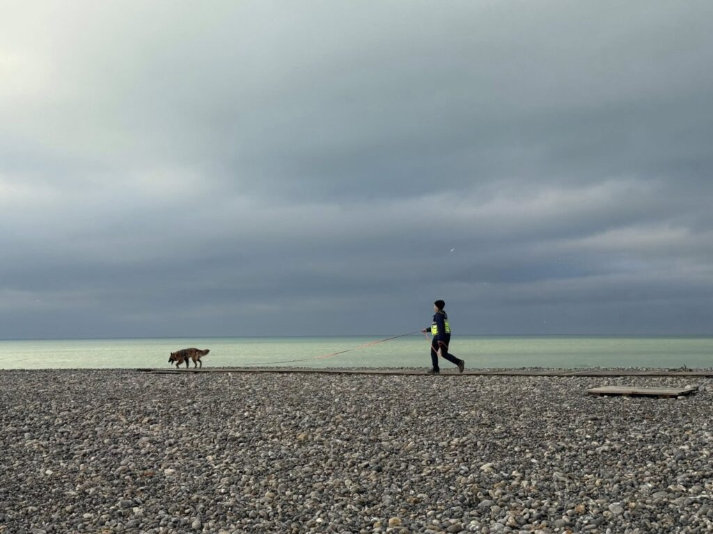 CHIEN DE RECHERCHE DE PERSONNES DISPARUES ILE-DE-FRANCE PISTE VENT