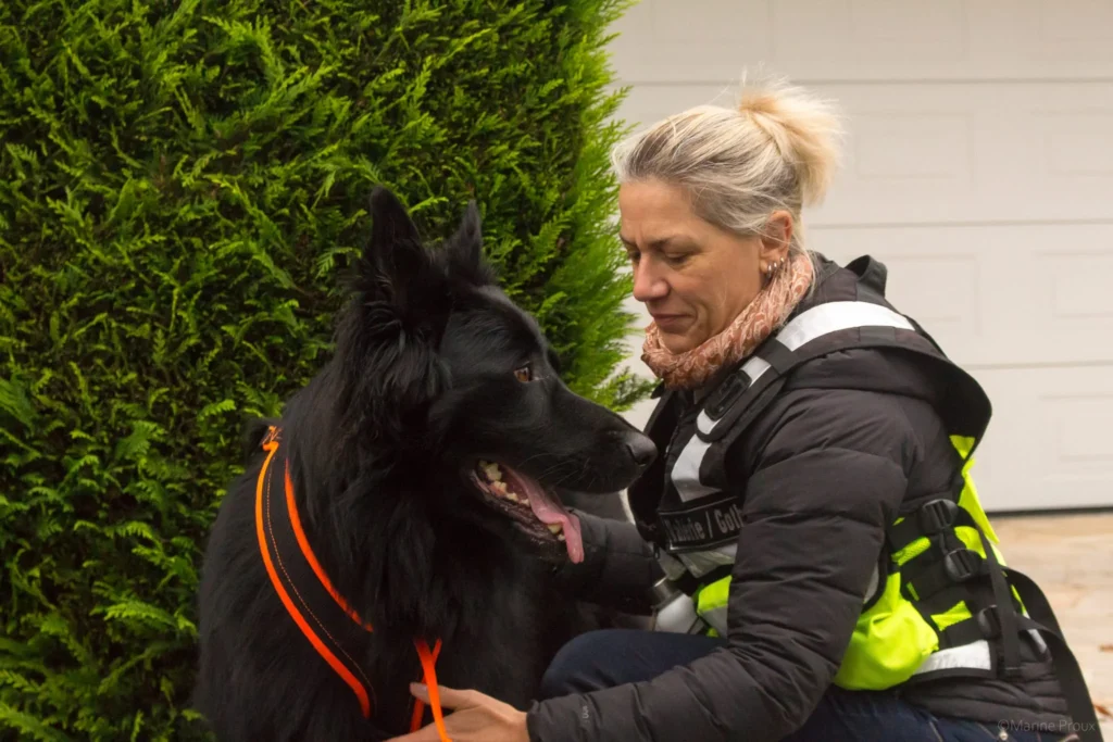 CHIEN DE RECHERCHE DE PERSONNES DISPARUES EXAMENS