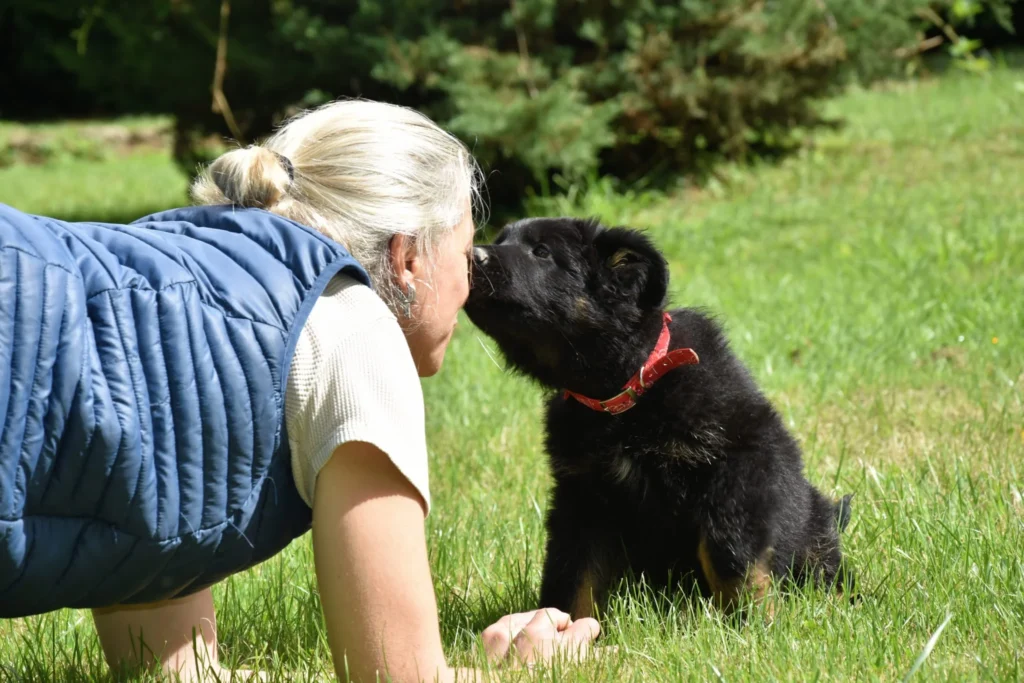 CHIEN DE RECHERCHE DE PERSONNES DISPARUES GOTHAM HISTOIRE