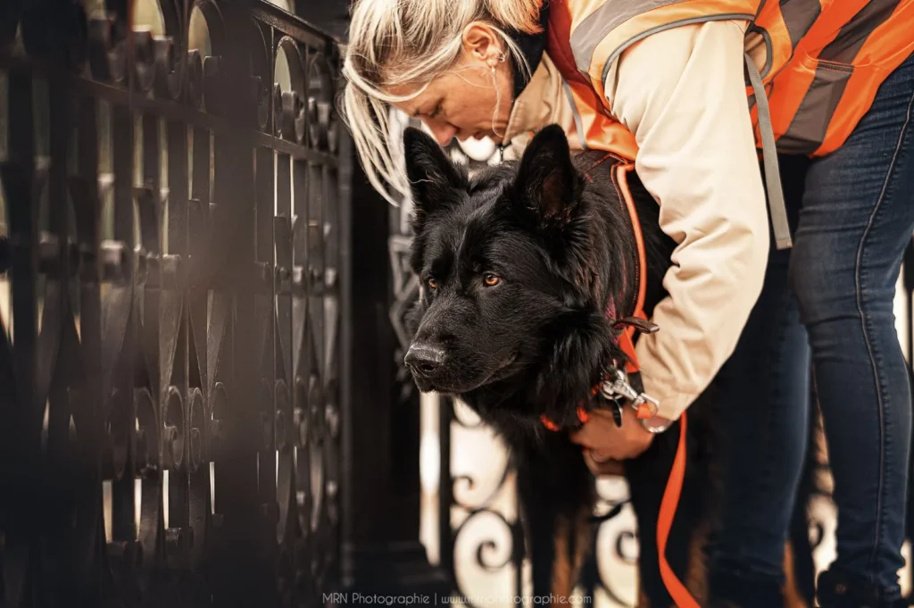 CHIEN DE RECHERCHE DE PERSONNES DISPARUES INTERVENTIONS ENTRAINEMENTS